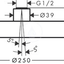 Horn sprcha 250, 1jet, chrom