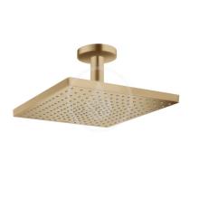 Hansgrohe Raindance E Horn sprcha E 300, 1jet, kartovan bronz 26250140