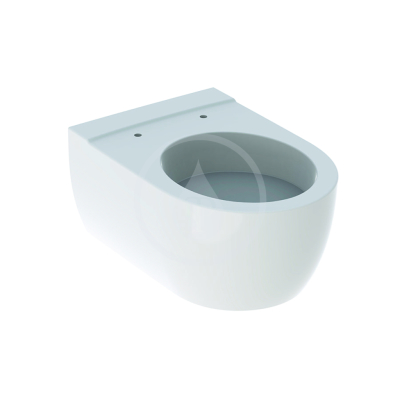 Závěsné WC, 355x530 mm, s KeraTect, bílá