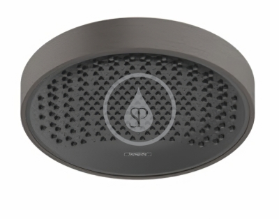 Hlavová sprcha 250, EcoSmart, kartáčovaný černý chrom